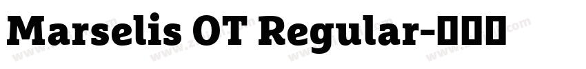 Marselis OT Regular字体转换
